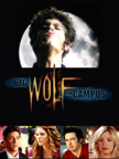 Big wolf on campus